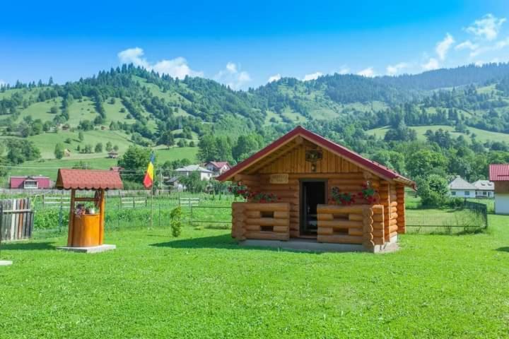 Hotel Casa Prundari Nicu Si Mirela Poiana Teiului Exteriér fotografie