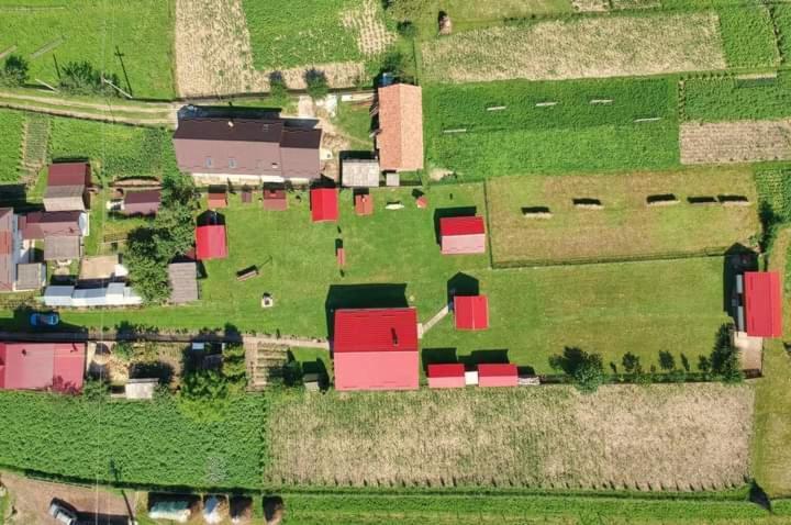 Hotel Casa Prundari Nicu Si Mirela Poiana Teiului Exteriér fotografie
