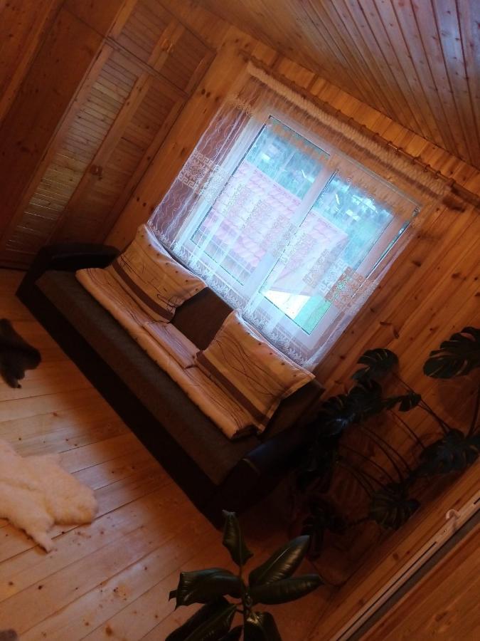 Hotel Casa Prundari Nicu Si Mirela Poiana Teiului Exteriér fotografie