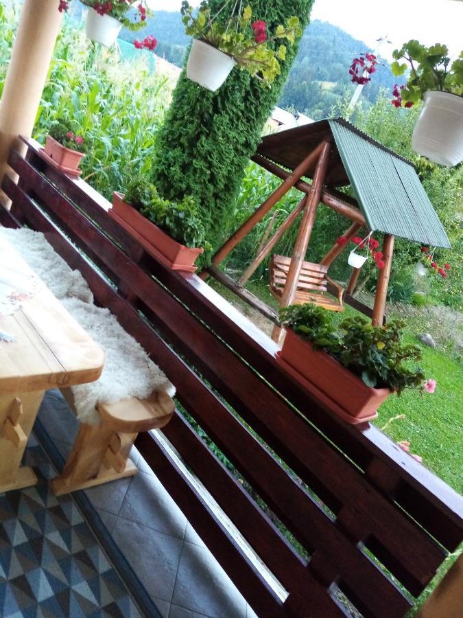 Hotel Casa Prundari Nicu Si Mirela Poiana Teiului Exteriér fotografie