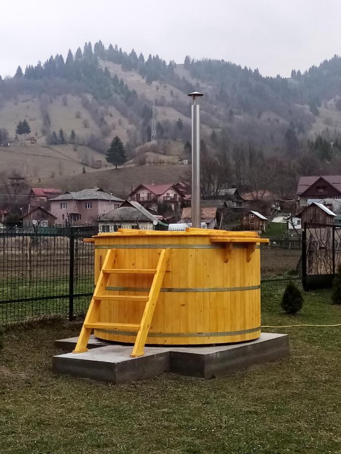 Hotel Casa Prundari Nicu Si Mirela Poiana Teiului Exteriér fotografie