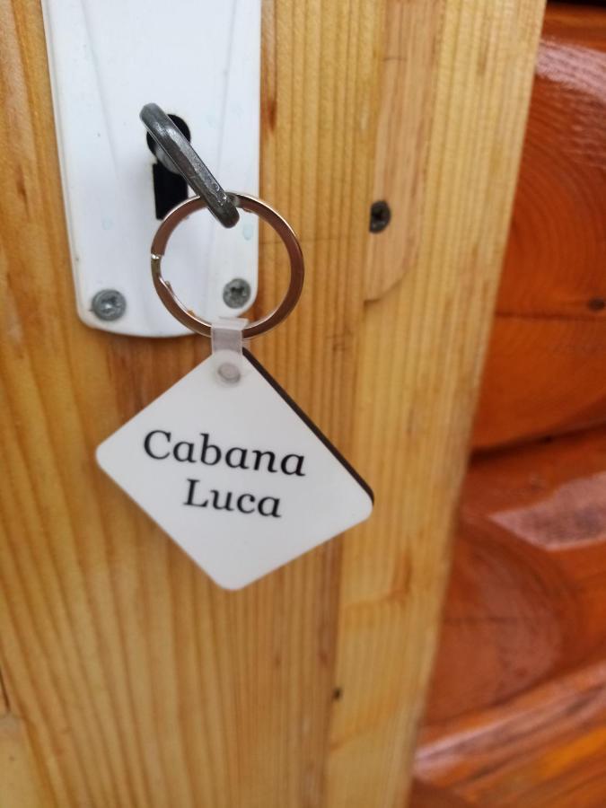 Hotel Casa Prundari Nicu Si Mirela Poiana Teiului Exteriér fotografie