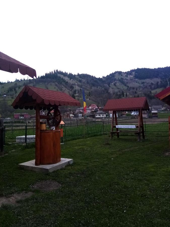 Hotel Casa Prundari Nicu Si Mirela Poiana Teiului Exteriér fotografie