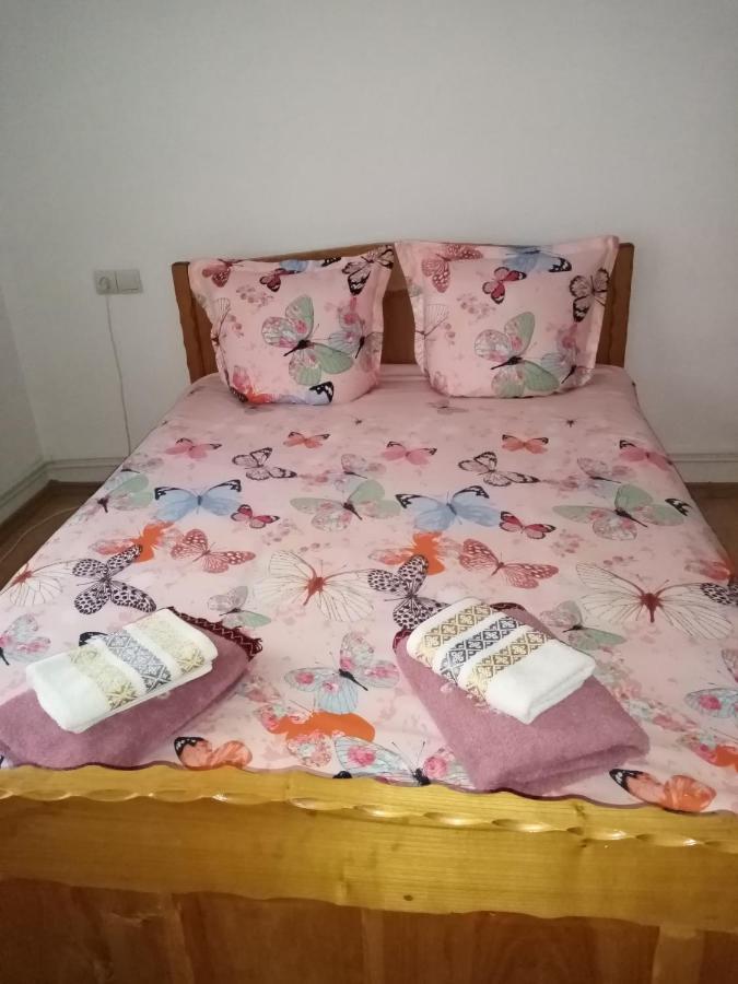 Hotel Casa Prundari Nicu Si Mirela Poiana Teiului Exteriér fotografie