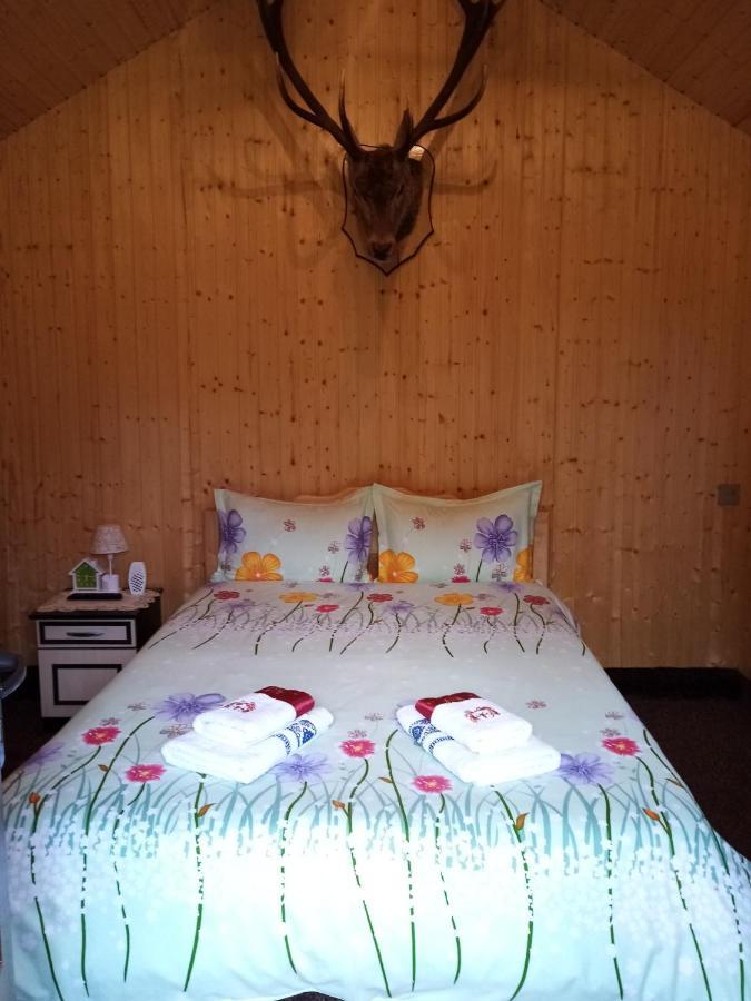 Hotel Casa Prundari Nicu Si Mirela Poiana Teiului Exteriér fotografie