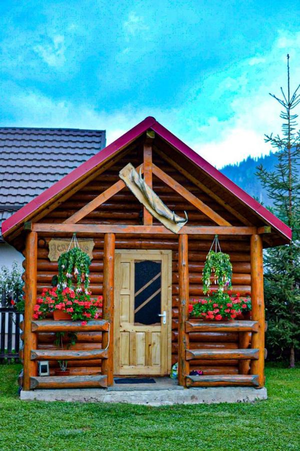 Hotel Casa Prundari Nicu Si Mirela Poiana Teiului Exteriér fotografie