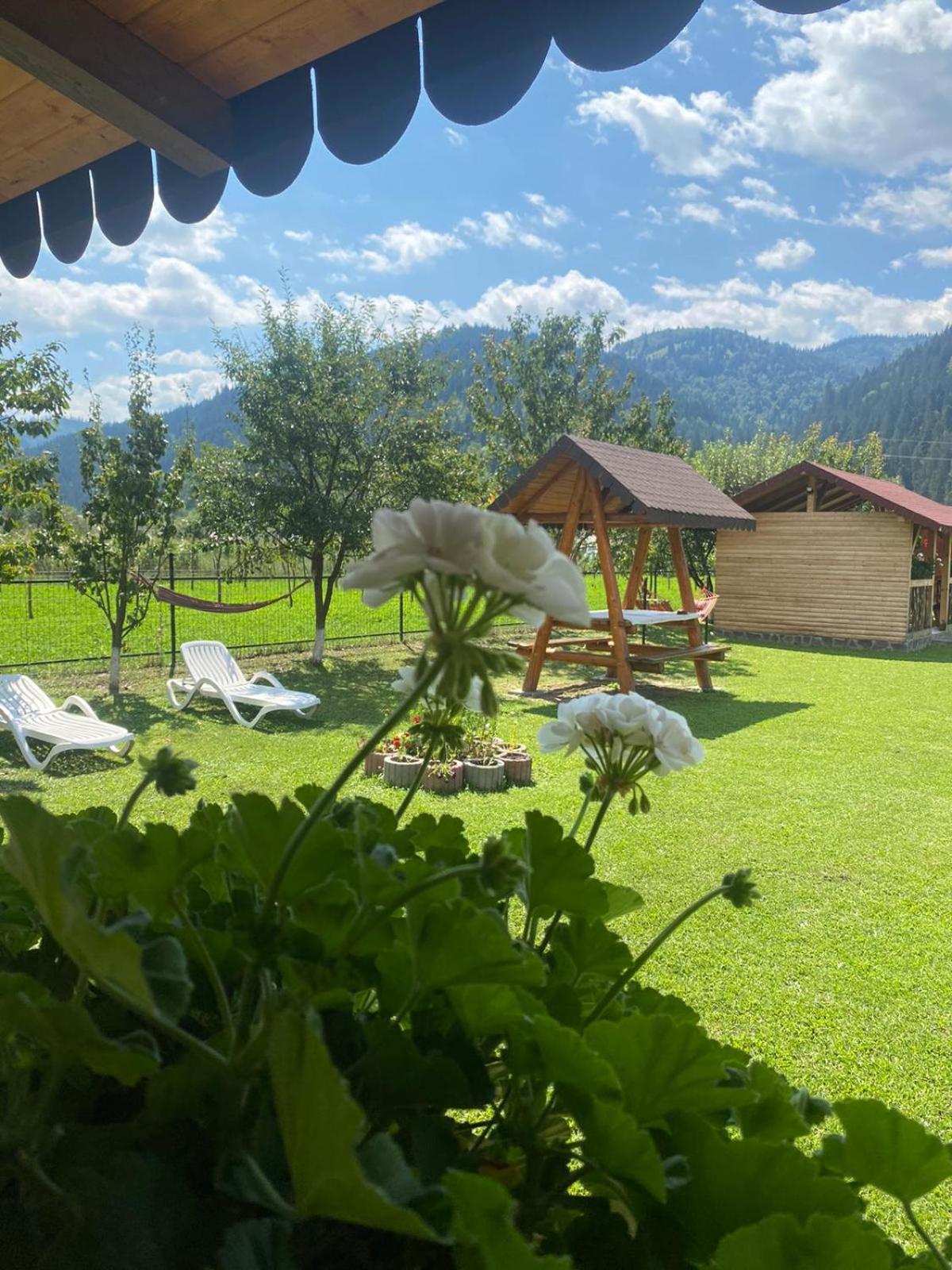 Hotel Casa Prundari Nicu Si Mirela Poiana Teiului Exteriér fotografie