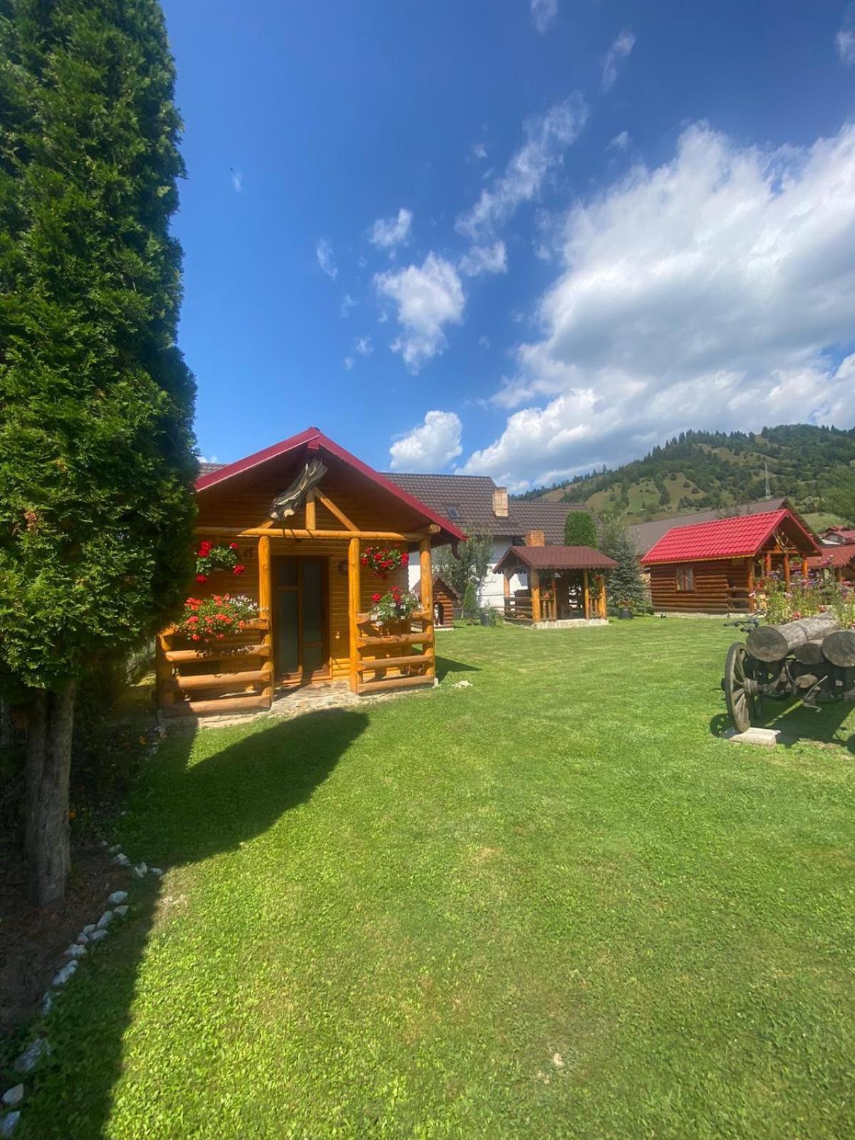 Hotel Casa Prundari Nicu Si Mirela Poiana Teiului Exteriér fotografie